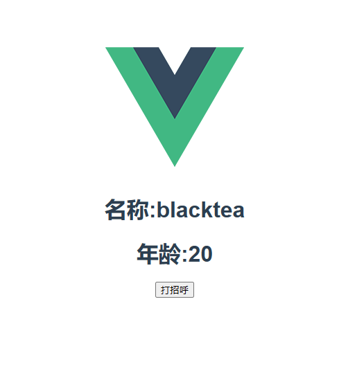 setup返回对象使用